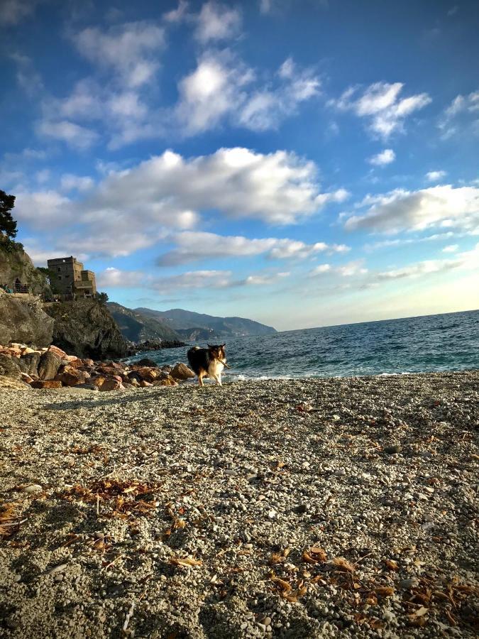 Ca Lea Beach House Monterosso al Mare Eksteriør billede